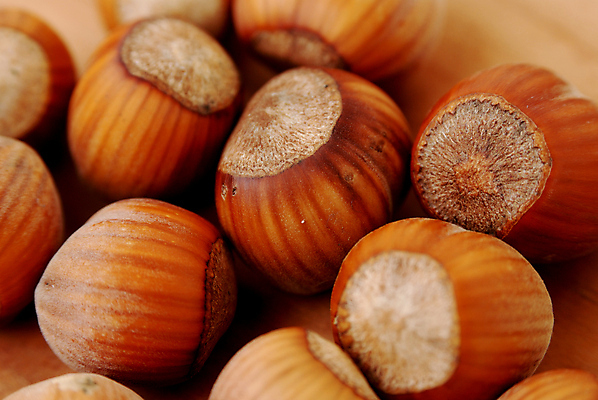 포토 JPG 해외이미지 음식 과일 건강 사람없음 갈색 견과류 원형 영양 개암 해외202004 해외포토 도형 열매 컬러 파일형식 이미지허브