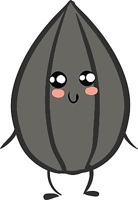 EPS 해외이미지 꽃 줄기 잎 신체 일러스트 벽지 해바라기 씨앗 서기 미소 검은색 줄무늬 그림 되감기 재 해외202004 해외일러스트 식물 컬러 무늬 모션 표정 파일형식 벡터 이미지허브
