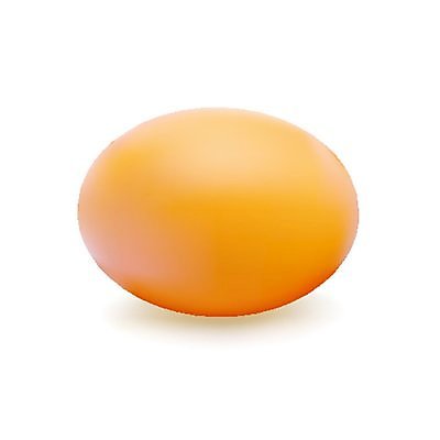 EPS 해외이미지 음식 백그라운드 다이어트 일러스트 재료 자연 조류 실내 건강 요리 갈색 계란 치킨 껍질 흰색 신선 얼룩 아침식사 날것 내추럴 단백질 생식 처음 취급주의 해외202004 해외일러스트 동물 컬러 경고 내부 알 식사 생태계 닭고기요리 영양소 파일형식 벡터 이미지허브