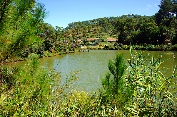 포토 JPG 해외이미지 아시아 여행 자연 호텔 주택 텐트 동양인 풍경 사람없음 야외 초록색 여행객 마을 시골 소나무 숲 생태계 휴양지 베트남 캔버스 내추럴 방치 보호구역 생태학 해외202004 해외포토 나무 교육 나라 컬러 숙소 캠핑도구 사람 인종 건물 동남아시아 장소 구역 파일형식 이미지허브