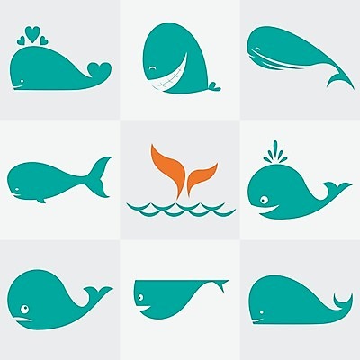 EPS 해외이미지 동물 캐릭터 손 행복 야생동물 어린이 파도 바다 백그라운드 패턴 오렌지 일러스트 포유류 학교 자연 사랑 어류 미술 미소 그래픽 물 파란색 수중 수확 흰색 아기 큼 만화 고래 그림 복고 꼬리 코믹 지느러미 고립 해외202004 해외일러스트 일러캐릭터 자연요소 교육 감정 컬러 무늬 농업 과일 문화예술 표정 사람 신체부위 수중동물 크기 생태계 파일형식 벡터 이미지허브