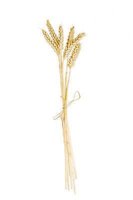 포토 JPG 해외이미지 식물 밧줄 음식 빵 줄기 농업 씨앗 사람없음 식사 수확 상품 낟알 밀 다발 보따리 귀 밀가루 노끈 스파이크 밀짚 고립 숙성 해외202004 해외포토 산업 줄 곡류 신체부위 짚 가루 파일형식 이미지허브