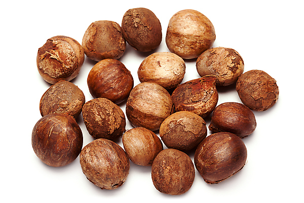 포토 JPG 해외이미지 식물 과학 농업 종류 사람없음 갈색 견과류 굽기 수집 생물학 해외202004 해외포토 교육 산업 컬러 구이 파일형식 이미지허브