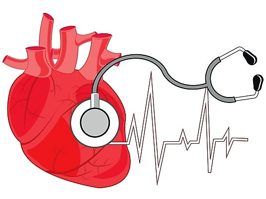 EPS 해외이미지 일러스트 청진기 건강 병원 사람 듣기 장비 시험 기구 하트 맥박 질병 흰배경 돌봄 심장병 압력 해외202004 해외일러스트 모양 교육 백그라운드 의학 의료기기 모션 흰색 파일형식 벡터 이미지허브