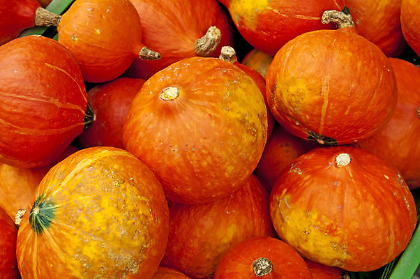 포토 JPG 해외이미지 계절 채소 재료 건강 요리 사람없음 노란색 주방 식당 수프 잼 만족 홋카이도 스쿼시 해외202004 해외포토 감정 스포츠 컬러 구기 상점 일본 소스_음식 파일형식 이미지허브