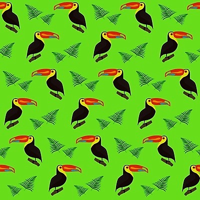 EPS 해외이미지 캐릭터 어린이 잎 날개 오렌지 일러스트 자연 조류 멕시코 동물원 빨간색 초록색 여름 컬러풀 노란색 검은색 신용카드 열대우림 만화 심볼 만족 부리 손그림 브라질 고립 이국적 파라다이스 해외202004 해외일러스트 일러캐릭터 식물 동물 계절 감정 컬러 북아메리카 과일 사람 금융 남아메리카 숲 생태계 파일형식 벡터 이미지허브