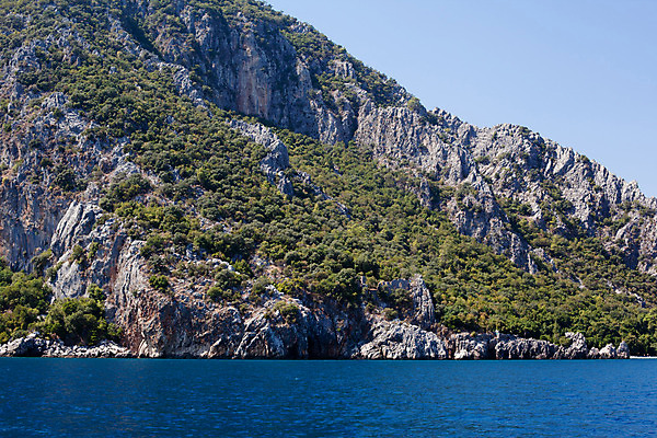 포토 JPG 해외이미지 나무 식물 바다 자연 하늘 산 풍경 사람없음 야외 가로 초록색 파란색 햇빛 맑음 회색 숲 지중해 언덕 산등성이 칠면조 해외202004 해외포토 컬러 조류 날씨 태양 생태계 파일형식 이미지허브