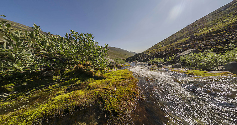 포토 JPG 해외이미지 나무 구름 계절 유럽 자연 하늘 산 풍경 사람없음 야외 목재 초록색 물 여름 파란색 강 햇빛 태양 환경 계곡 맑음 침묵 봄 흐름 바위 흰색 개울 숲 언덕 장면 내추럴 산악지대 삼림지대 생태학 해외202004 해외포토 자연요소 식물 교육 나라 컬러 컨셉 재료 날씨 소리 돌_바위 생태계 파일형식 이미지허브