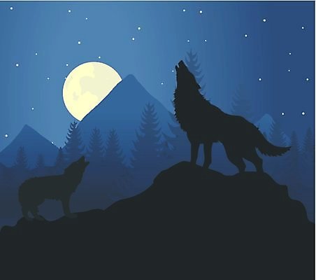 EPS 해외이미지 동물 계절 실루엣 별 백그라운드 겨울 오렌지 일러스트 자연 하늘 추상 야외 목재 여름 파란색 검은색 어둠 침묵 일몰 외침 달 개 치아 고독 야간 만화 심볼 언덕 사냥 육식동물 장면 늑대 송곳니 내추럴 동물상 해외202004 해외일러스트 자연요소 나무 감정 컬러 무늬 과일 재료 포유류 촬영기법 조형물 노을 소리 소화기관 생태계 파일형식 벡터 식물 미술 장기 신체 문화예술 이미지허브