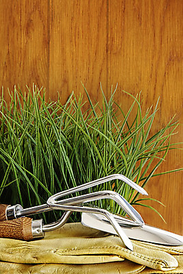 포토 JPG 해외이미지 식물 꽃 줄기 장갑 백그라운드 컨셉 잎 농업 자연 추상 새로움 사람없음 목재 초록색 농장 환경 정원 봄 성장 공구 보호 작음 허브 물주기 시작 원예 세련 해외202004 해외포토 나무 잡화 계절 산업 컬러 무늬 재료 모션 취미 도구 크기 생태계 파일형식 이미지허브