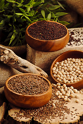 포토 JPG 해외이미지 음식 자연 실내 씨앗 사람없음 목재 가로 컬러풀 숟가락 사발 국자 깨 대두 카놀라 해외202004 해외포토 나무 식물 컬러 식재료 재료 주방용품 수저 내부 조미료 사기그릇 생태계 파일형식 이미지허브