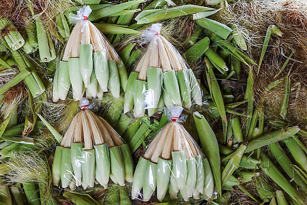 포토 JPG 해외이미지 식물 음식 백그라운드 농업 채소 재료 자연 건강 옥수수 사람없음 초록색 농작물 노란색 흰색 아기 신선 그룹 달콤 유기농 질감 날것 흙더미 내추럴 채식주의자 해외202004 해외포토 웰빙 산업 컬러 곡류 사람 흙 맛 생태계 채식 파일형식 더미 이미지허브