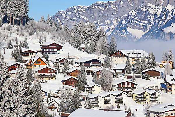 포토 JPG 해외이미지 주간 나무 겨울 주택 사람없음 야외 마을 스위스 겨울풍경 해외202004 눈덮임 해외포토 자연요소 식물 계절 유럽 컨셉 풍경 건물 파일형식 이미지허브