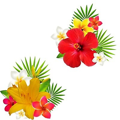 EPS 해외이미지 식물 디자인 꽃잎 꽃 선 분홍색 꽃무늬 일러스트 자연 휴식 장식 여름 야자수 장미 노란색 스파 젖음 벚꽃 흰색 신선 떨어짐 백합 심볼 오브젝트 하와이 향기 냄새 아로마 발리 향 내추럴 고립 샤워실 아열대 엘리먼트 이국적 하와이인 히비스커스 알로하 해외202004 해외일러스트 외국인 나무 계절 컬러 섬 컨셉 무늬 미국 인사 생태계 인도네시아 샤워시설 파일형식 벡터 이미지허브
