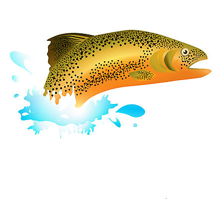 EPS 해외이미지 동물 야생동물 바다 분홍색 일러스트 자연 낚시 어류 빨간색 물 강 점프 떨어짐 해산물 연어 수족관 동물상 해외202004 해외일러스트 자연요소 컬러 컨셉 모션 레저 조형물 수중동물 생태계 파일형식 벡터 이미지허브