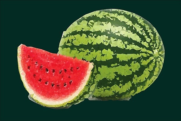 EPS 해외이미지 일러스트 단면 수박 사람없음 빨간색 초록색 폴리곤 해외202004 해외일러스트 컬러 과일 파일형식 벡터 이미지허브