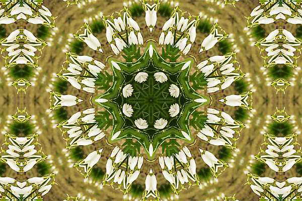 포토 JPG 해외이미지 디자인 꽃잎 꽃 백그라운드 꽃무늬 패턴 자연 추상 프레임 국화 사람없음 파란색 유행 보라색 거울 질감 부족 대칭 만다라 만화경 스노드롭 해외202004 해외포토 식물 컬러 컨셉 무늬 장난감 생태계 파일형식 이미지허브