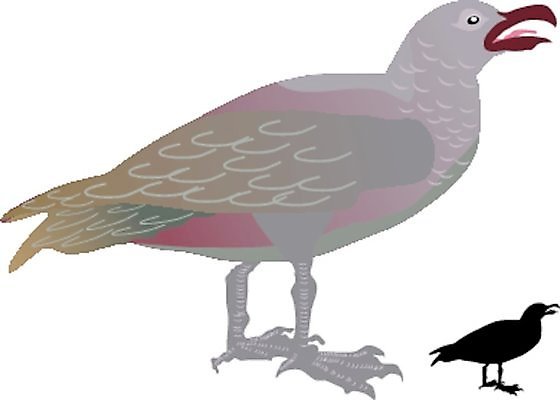 EPS 해외이미지 동물 디자인 실루엣 바다 날개 일러스트 자연 조류 하늘 추상 형상 미술 파란색 컴퓨터 검은색 봄 추위 자유 남극 깃털 그림 부리 제비 독립 해외202004 해외일러스트 계절 컬러 컨셉 무늬 문화예술 촬영기법 전자제품 극지방 생태계 파일형식 벡터 이미지허브