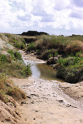 포토 JPG 해외이미지 구름 모래 파도 바다 여행 자연 조류 하늘 날씨 휴가 풍경 사람없음 초록색 물 여름 파란색 햇빛 반사 침묵 흰색 가장자리 수평선 해외202004 해외포토 자연요소 동물 계절 컬러 태양 소리 둘레 생태계 파일형식 이미지허브