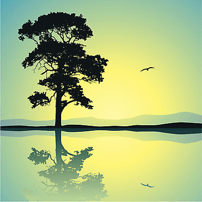 EPS 해외이미지 나무 실루엣 호수 일러스트 사람없음 물 일출 일몰 수평선 해외202004 해외일러스트 자연요소 식물 촬영기법 노을 파일형식 벡터 이미지허브