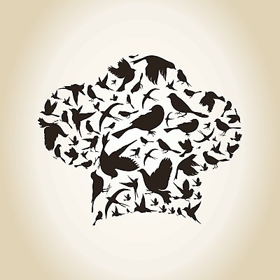 EPS 해외이미지 동물 디자인 패턴 날개 일러스트 자연 조류 미술 동양인 장식 평화 만화 왜가리 심볼 깃털 펭귄 비둘기 꼬리 앵무새 고무 동물상 소셜네트워크 해외202004 해외일러스트 컨셉 무늬 문화예술 인종 조형물 생태계 파일형식 벡터 사람 이미지허브