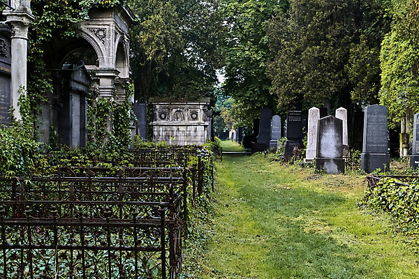 포토 JPG 해외이미지 나무 유럽 출입구 사람없음 믿음 슬픔 죽음 무덤 역사 묘사 천국 유대인 천연기념물 장례 땅바닥 숭배 신앙심 썩음 옛날 장례식 해외202004 해외포토 식물 감정 나라 바닥 파일형식 이미지허브