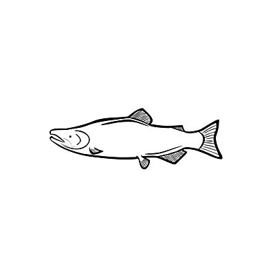 EPS 해외이미지 동물 실루엣 음식 바다 분홍색 백그라운드 일러스트 모션 자연 낚시 건강 어류 그래픽 빨간색 물 파란색 점프 검은색 흰색 떨어짐 만화 스케치 심볼 해산물 오브젝트 복고 지느러미 연어 고립 동물상 마스코트 민물 송어 해외202004 해외일러스트 자연요소 컬러 컨셉 레저 촬영기법 미술 조형물 수중동물 생태계 파일형식 벡터 이미지허브