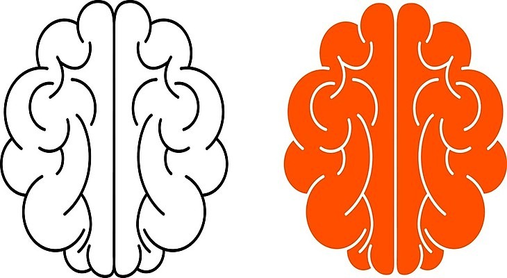 EPS 해외이미지 디자인 교육 실루엣 선 과학 백그라운드 컨셉 일러스트 비즈니스 해부 상상 추상 아이디어 건강 창조 미술 사람 그래픽 약 머리 검은색 흰색 마음 오르간 플랫 심볼 사인 뇌 심플 시스템 해결 혁명 고립 엘리먼트 지능 해외202004 해외일러스트 컬러 무늬 의학 문화예술 촬영기법 신체부위 건반악기 파일형식 벡터 이미지허브