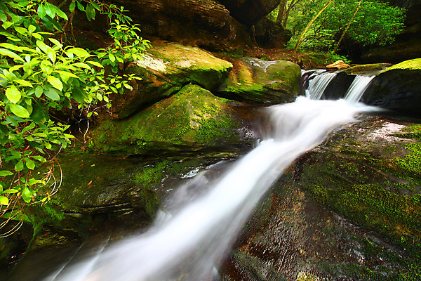 포토 JPG 해외이미지 자연 사람없음 야외 물 강 미국 폭포 개울 황무지 숲 생태계 멀리 서식지 석호 내추럴 해외202004 해외포토 자연요소 북아메리카 파일형식 이미지허브