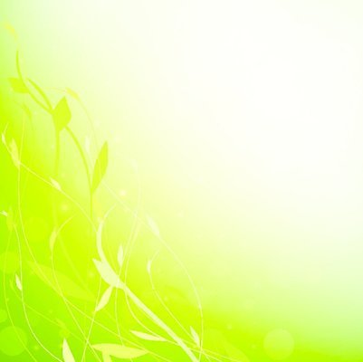 EPS 해외이미지 클립아트 식물 줄기 잎 꽃무늬 일러스트 자연 프레임 초록색 여름 화목 봄 내추럴 카피스페이스 해외202004 해외일러스트 계절 꽃 컬러 컨셉 무늬 공백 생태계 파일형식 벡터 이미지허브