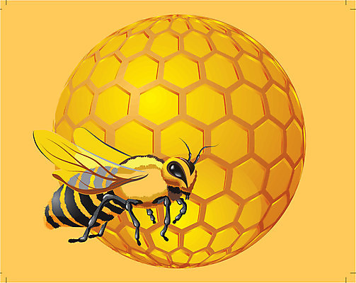EPS 해외이미지 모양 동물 라이프스타일 음식 곤충 백그라운드 패턴 일러스트 모션 자연 세포 건강 노란색 신선 작업 황금 닫기 달콤 큼 대표 벌 먹기 바쁨 꽃가루 육각형 꿀 벌집 내추럴 밀랍 바이오 여의주 왁스 효율 해외202004 해외일러스트 도형 컬러 컨셉 무늬 생활 맛 크기 가루 생태계 파일형식 벡터 이미지허브