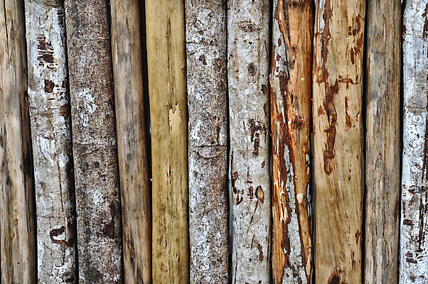 포토 JPG 해외이미지 나무 산업 조각 백그라운드 십자가 패턴 부분 자연 추상 사람없음 목재 갈색 쌓기 환경 에너지 반지 소나무 원형 널 숲 장작 자르기 유기농 질감 날것 통나무 나무껍질 잡동사니 흙더미 내추럴 벌목 수목 옛날 노화 해외202004 해외포토 도형 식물 웰빙 컬러 컨셉 무늬 재료 장신구 모션 흙 껍질 생태계 파일형식 더미 이미지허브