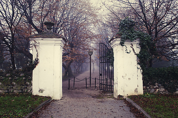 포토 JPG 해외이미지 나무 식물 계절 공원 길 어린이 백그라운드 잎 가로등 자연 엄마 사람 풍경 사람없음 야외 갈색 환경 산책 안개 가을 시골 램프 숲 큼 신비 오솔길 무서움 내추럴 창백 나쁜 깊이 벌거벗은 뿌연 해외202004 해외포토 공공시설 감정 컬러 컨셉 가족 날씨 휴식 조명 크기 생태계 파일형식 이미지허브