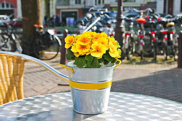 포토 JPG 해외이미지 전통 꽃 유럽 문화 커피 음료 음식 벽 여행 의자 건축양식 탁자 휴가 휴식 거리 주택 사람없음 야외 건물 여행객 식당 자전거 저녁식사 산책 카페 도시 바 센터 아침식사 주차 먹기 양동이 서비스 네덜란드 타운 점심식사 암스테르담 무료 세련 해외202004 해외포토 식물 건축물 건축 나라 가구 컨셉 모션 사람 상점 바이크 식사 파일형식 이미지허브