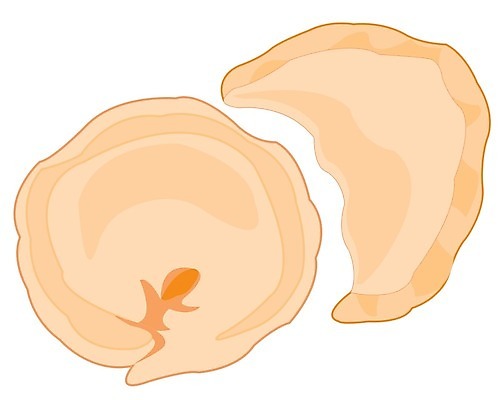 EPS 해외이미지 모델 전통 접시 문화 음식 일러스트 식사 신선 맛 상품 만화 오브젝트 흰배경 서식 밀가루 끓이기 스터핑 전국 해외202004 해외일러스트 식기 백그라운드 컨셉 모션 흰색 가루 파일형식 벡터 컬러 이미지허브