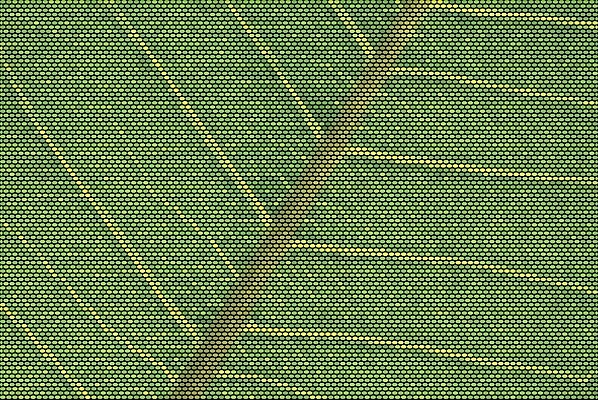 EPS 해외이미지 나무 식물 선 백그라운드 잎 패턴 일러스트 자연 벽지 초록색 빛 햇빛 환경 정원 봄 활발 에너지 신선 닫기 묘사 유기농 질감 정맥 내추럴 광합성 대칭 생태학 해외202004 해외일러스트 웰빙 계절 교육 컬러 컨셉 무늬 모션 태양 생태계 혈관 파일형식 벡터 이미지허브