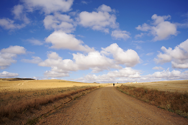 포토 JPG 해외이미지 구름 유럽 여행 백그라운드 밭 농업 자연 하늘 날씨 휴가 건조 파노라마 옥수수 풍경 사람없음 야외 여름 농작물 컬러풀 태양 농장 농경지 평화 침묵 흙 하이킹 수확 성장 시골 스페인 볏짚 밀 만취 귀 장면 철사 밀짚 밭일 산티아고 순례 스페인어 주장 해외202004 해외포토 자연요소 계절 나라 산업 컬러 컨셉 레저 곡류 촬영기법 신체부위 소리 짚 생태계 술취함 파일형식 이미지허브