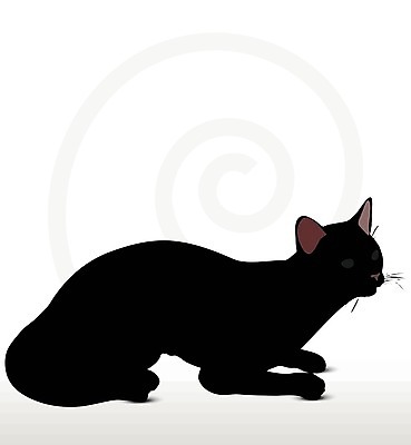 EPS 해외이미지 모양 동물 실루엣 포즈 일러스트 포유류 자연 그림자 앉기 사람없음 그래픽 반려동물 검은색 고양이 호랑이 사자 스케치 흰배경 윤곽 표범 고립 엘리먼트 재규어 스라소니 해외202004 해외일러스트 컬러 백그라운드 모션 촬영기법 미술 흰색 생태계 파일형식 벡터 이미지허브