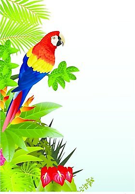 EPS 해외이미지 동물 야생동물 백그라운드 일러스트 조류 사람없음 초록색 컬러풀 앵무새 해외202004 해외일러스트 컬러 파일형식 벡터 이미지허브