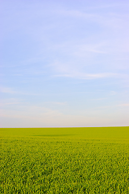 포토 JPG 해외이미지 식물 구름 계절 백그라운드 밭 농업 자연 하늘 날씨 휴가 풍경 잔디 사람없음 야외 초록색 여름 파란색 농작물 햇빛 우주 환경 침묵 봄 자유 밀 장면 천국 무한 웅장함 평야 수평선 해외202004 해외포토 자연요소 산업 컬러 컨셉 곡류 태양 소리 생태계 파일형식 이미지허브