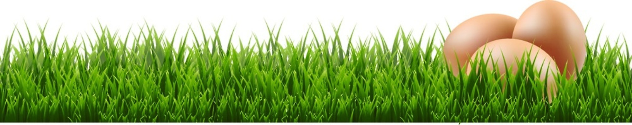 EPS 해외이미지 동물 음식 백그라운드 컨셉 다이어트 일러스트 재료 자연 조류 부활절 건강 요리 농장 갈색 노란색 계란 치킨 성장 껍질 흰색 신선 액체 그룹 아침식사 먹기 오브젝트 싱글 흰배경 유기농 날것 칼로리 내추럴 고립 깨짐 단백질 생식 암탉 처음 취급주의 해외202004 해외일러스트 웰빙 기념일 컬러 농업 모션 경고 알 식사 닭 암컷 생태계 닭고기요리 영양소 파일형식 벡터 이미지허브