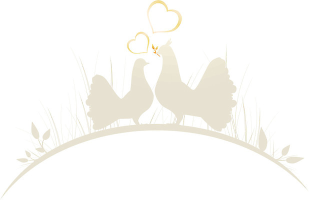 EPS 해외이미지 커플 행복 감정 결혼 일러스트 조류 친절 함께함 발렌타인데이 사랑 하트 축하 인사 신용카드 심볼 비둘기 초대 해외202004 해외일러스트 모양 동물 컨셉 관계 데이이벤트 이벤트 금융 예절 파일형식 벡터 이미지허브
