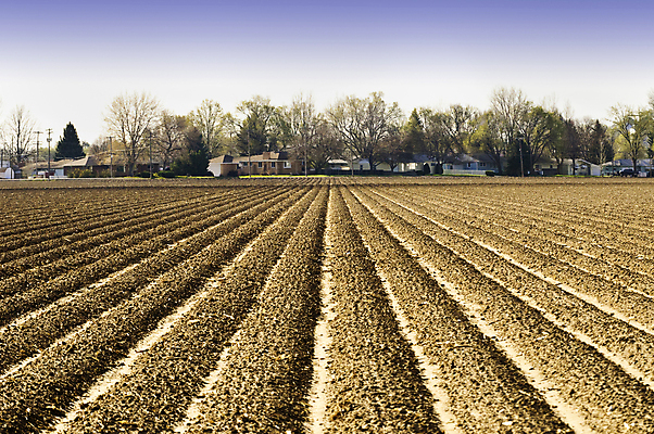 포토 JPG 해외이미지 계절 지구 패턴 밭 농업 하늘 주택 사람없음 야외 농장 농경지 황혼 흙 새벽 시골 땅 만취 질감 땅바닥 밭일 세련 해외202004 해외포토 자연요소 산업 무늬 바닥 건물 일몰 술취함 파일형식 이미지허브