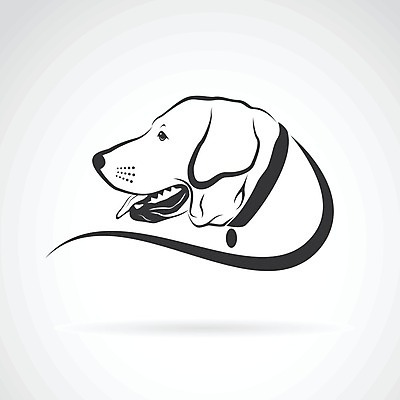 EPS 해외이미지 일러스트 사람없음 반려동물 검은색 흰색 개 강아지 래브라도리트리버 해외202004 해외일러스트 동물 컬러 포유류 리트리버 파일형식 벡터 이미지허브