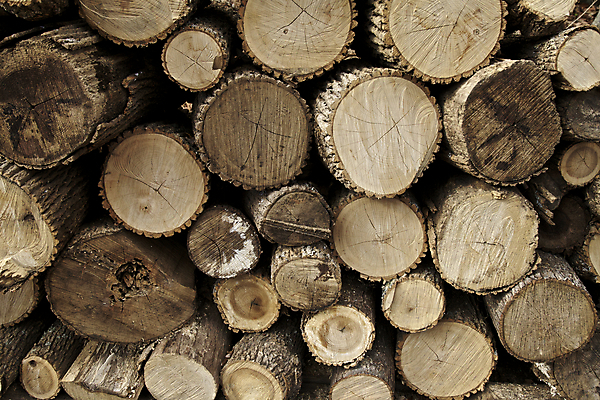 포토 JPG 해외이미지 나무 백그라운드 겨울 자연 불 잉글랜드 주택 사람없음 야외 목재 갈색 쌓기 미국 재활용 에너지 추위 가을 시골 숲 준비 질감 통나무 잡동사니 수목 개조 해외202004 해외포토 자연요소 식물 계절 컬러 북아메리카 재료 모션 영국 건물 친환경 생태계 파일형식 이미지허브