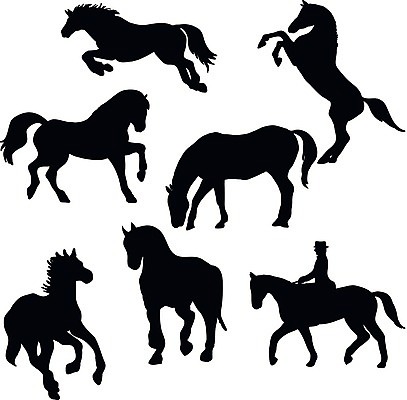 EPS 해외이미지 실루엣 야생동물 일러스트 포유류 자연 그림자 취미 반려동물 세트 달리기 농장 검은색 목장 우승 승차 속도 꼬리 조랑말 망아지 고립 굴레 기르기 무료 서쪽 승자 챔피언 디테일 해외202004 해외일러스트 동물 새끼 컬러 농업 모션 촬영기법 최고 말_동물 방향 생태계 돌봄 파일형식 벡터 이미지허브