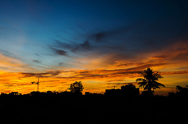 포토 JPG 해외이미지 나무 구름 실루엣 오렌지 건축양식 하늘 아침 사람없음 야외 건물 햇빛 태양 노란색 일출 탑 맑음 황혼 일몰 새벽 장비 도시 업무 재산 큼 땅 기중기 개발 리프팅 처음 해외202004 해외포토 주간 자연요소 식물 건축물 건축 컬러 과일 날씨 촬영기법 금융 노을 작업 중장비 크기 파일형식 이미지허브