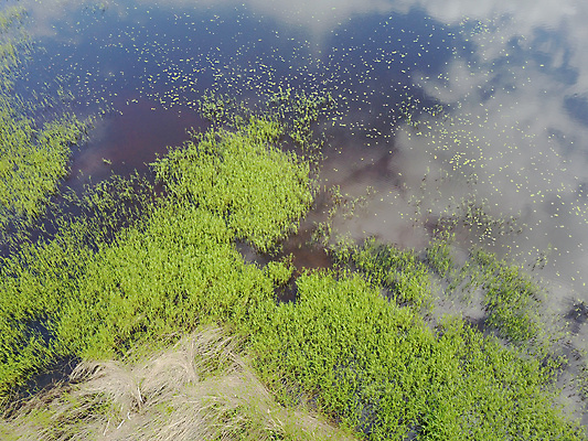 포토 JPG 해외이미지 유럽 호수 백그라운드 밭 자연 추상 안테나 풍경 사람없음 야외 초록색 물 여름 반사 시골 드론 조감도 해외202004 해외포토 자연요소 계절 나라 컬러 무늬 농업 통신 생태계 파일형식 이미지허브