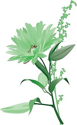 EPS 해외이미지 디자인 계절 꽃 행복 줄기 꽃다발 백그라운드 꽃무늬 일러스트 자연 벽지 추상 부활절 발렌타인데이 미술 장식 초록색 컬러풀 우주 정원 봄 성장 벚꽃 인사 신용카드 생일 그리기 개화 만화 다발 공상 고립 오리지널 줄서기 해외202004 해외일러스트 식물 기념일 감정 컬러 무늬 모션 데이이벤트 문화예술 금융 예절 생태계 파일형식 벡터 이미지허브