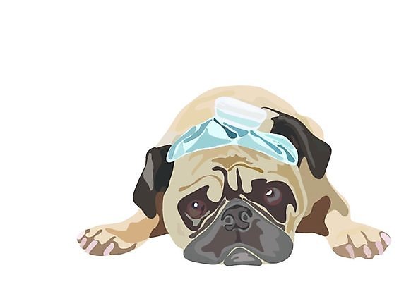 EPS 해외이미지 클립아트 동물 편집 캐릭터 디자인 얼굴 새끼 스티커 일러스트 미술 그래픽 반려동물 갈색 라벨 회색 흰색 표현 점 신용카드 기다림 개 강아지 인쇄 큼 엉덩이 만화 혀 배고픔 즐거움 호기심 그림 클립 윤곽 귀 펑키 송곳니 거짓말 엘리먼트 해외202004 해외일러스트 일러캐릭터 감정 컬러 컨셉 포유류 모션 문화예술 프레임 신체부위 금융 입 치아 크기 파일형식 벡터 이미지허브